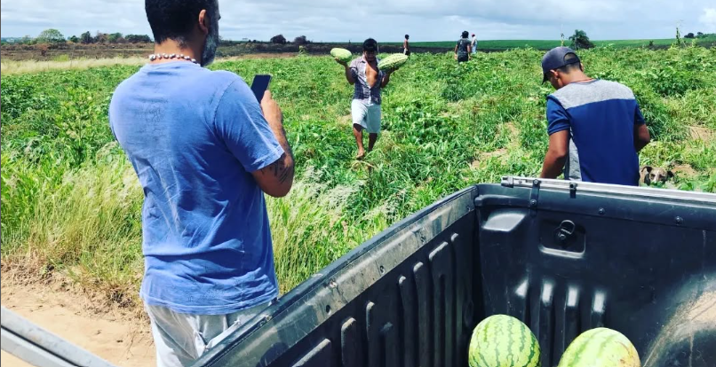Pereira Brasil, Consultoria e Treinamento LTDA, de nome fantasia GLP - Soluções Sosioambientais